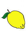 obrázek citrón