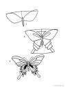 jak nakreslit motýla