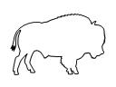 omalovánka bizon
