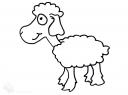 sheep ovce