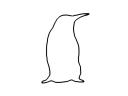 omalovánka tučňák