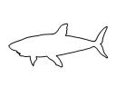 omalovánka žralok