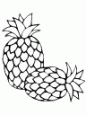 omalovánka ananas