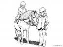 obrázky koní