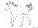 kreslené obrázky koní
