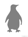 šablona tučňák