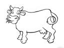 obrázek kráva