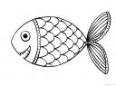 omalovánka ryba