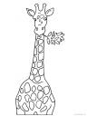 žirafa hlava
