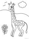 omalovánka žirafa