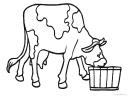 kreslená kráva