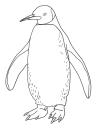 tučňák omalovánka