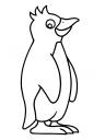 tučňák -pinguin