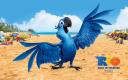 papoušek Blu