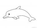šablona delfín
