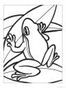 kreslená žába