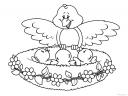 jarní omalovánka - ptačí hnízdo