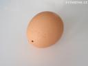 vyfouklé vajíčko